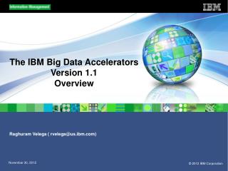 The IBM Big Data Accelerators Version 1.1 Overview