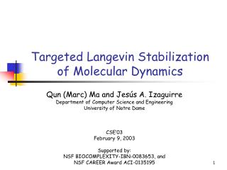 Targeted Langevin Stabilization of Molecular Dynamics