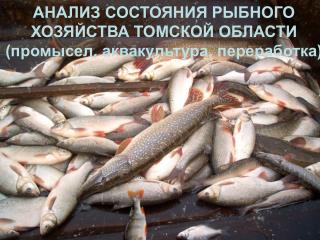 АНАЛИЗ СОСТОЯНИЯ РЫБНОГО ХОЗЯЙСТВА ТОМСКОЙ ОБЛАСТИ (промысел, аквакультура, переработка)