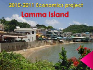 2010-2011 Economics project