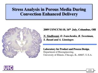 Stress Analysis in Porous Media During Convection Enhanced Delivery