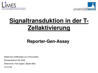 Signaltransduktion in der T-Zellaktivierung