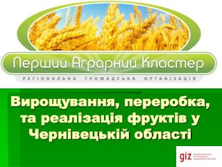 Вирощування, переробка, та реалізація фруктів у Чернівецькій області