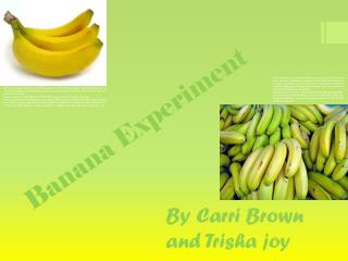 Banana Experiment