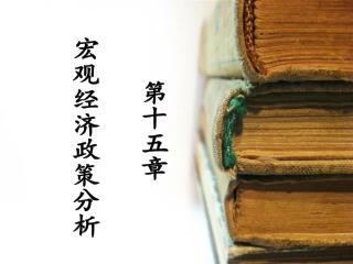 第十五章 宏观经济政策分析