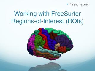 Working with FreeSurfer Regions-of-Interest (ROIs)