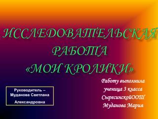 Исследовательская работа «Мои кролики»
