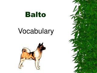 Balto