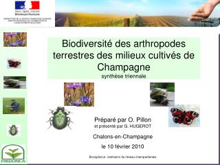 Biodiversité des arthropodes terrestres des milieux cultivés de Champagne synthèse triennale
