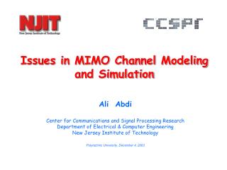 Issues in MIMO Channel Modeling and Simulation