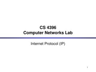 CS 4396 Computer Networks Lab