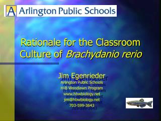 Rationale for the Classroom Culture of Brachydanio rerio