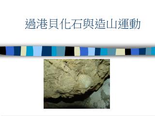 過港貝化石與造山運動