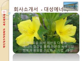 회사소개서 - 대성에너텍