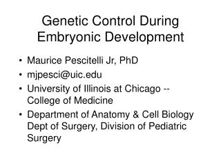 Genetic Control During Embryonic Development