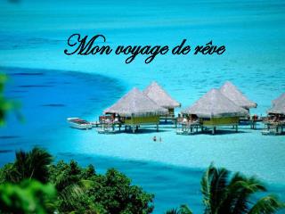 Mon voyage de rêve
