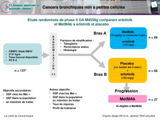 Cancers bronchiques non à petites cellules