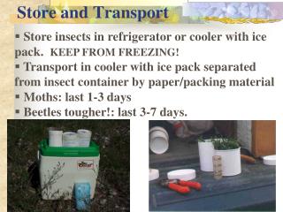 Store and Transport