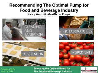 Recommending The Optimal Pump for Food and Beverage Industry Nancy Westcott - GoatThroat Pumps