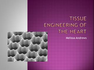 Tissue Engineering of the Heart