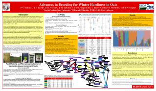 Advances in Breeding for Winter Hardiness in Oats