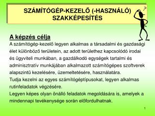 SZÁMÍTÓGÉP-KEZELŐ (-HASZNÁLÓ) SZAKKÉPESÍTÉS