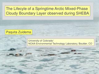 The Lifecyle of a Springtime Arctic Mixed-Phase Cloudy Boundary Layer observed during SHEBA