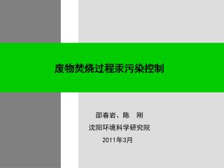 废物焚烧过程汞污染控制