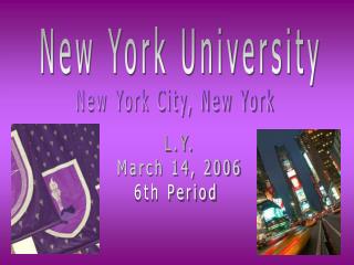 New York University