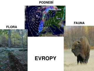 EVROPY