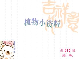 四 【1】 班 顾一帆