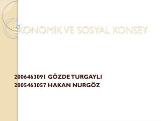 EKONOMİK VE SOSYAL KONSEY