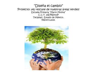 Cada equipo de trabajo pensó cual problemática podían seleccionar .