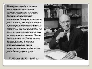 Тема « Половое размножение. Развитие половых клеток».