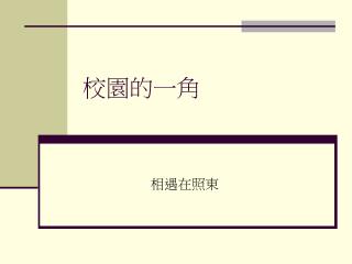 校園的一角