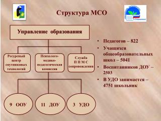 Структура МСО