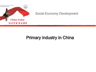 Social Economy Development
