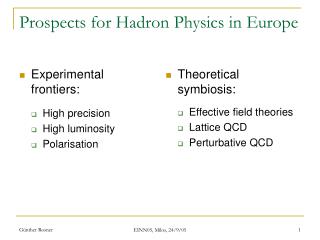 Prospects for Hadron Physics in Europe