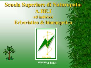 Scuola Superiore di Naturopatia A.BE.I ad indirizzi Erboristico &amp; bioenegetico