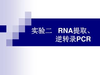 实验二 RNA 提取、 逆转录 PCR