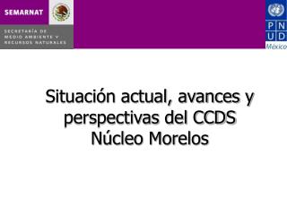 Situación actual, avances y perspectivas del CCDS Núcleo Morelos