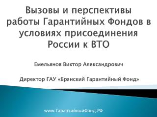 Вызовы и перспективы работы Гарантийных Фондов в условиях присоединения России к ВТО