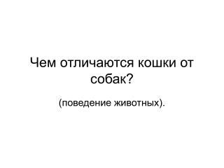 Чем отличаются кошки от собак?