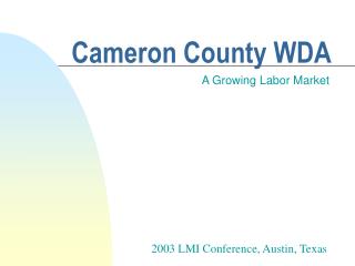 Cameron County WDA