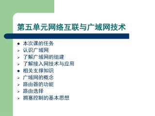 第五单元网络互联与广域网技术