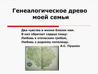 Генеалогическое древо моей семьи