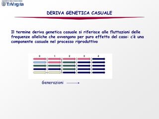 DERIVA GENETICA CASUALE