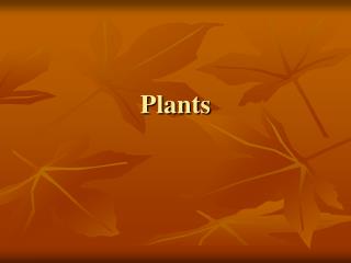 Plants