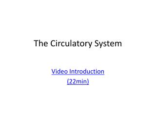 The Circulatory System