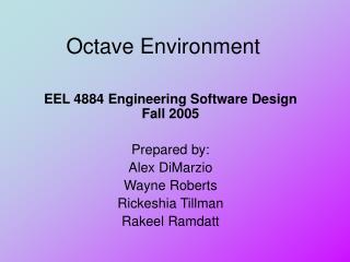 Octave Environment